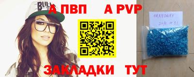 спиды Новозыбков