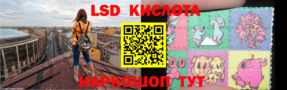 Сланцы  ЛСД экстази ecstasy  ЛСД экстази ecstasy  ЛСД экстази  Вход с VPN 
