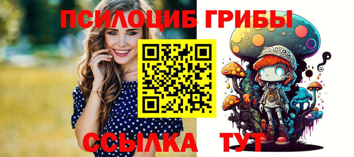 Псилоцибиновые грибы Psilocybe Сланцы