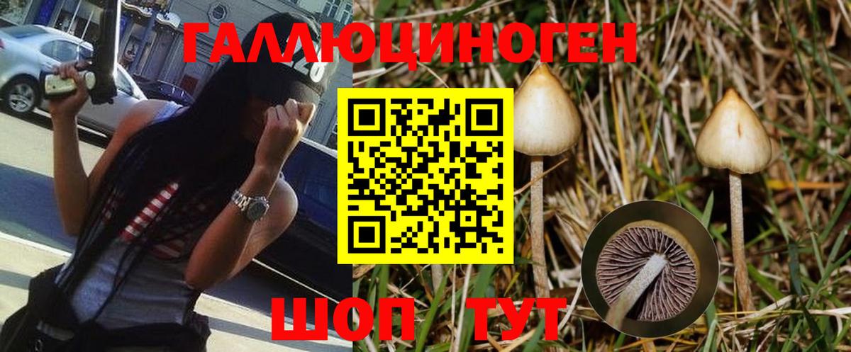 Сланцы  Псилоцибиновые грибы мицелий  Галлюциногенные грибы Cubensis  Вход с VPN 